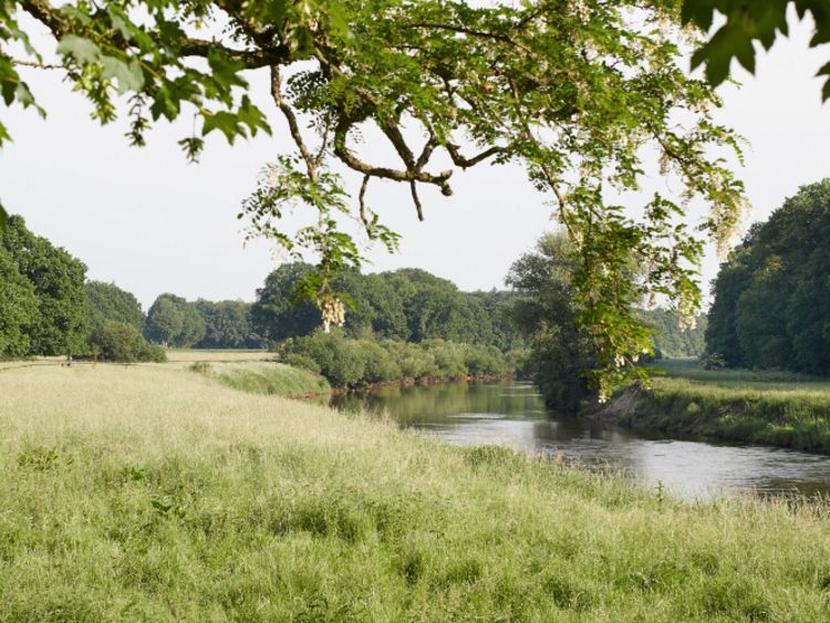 Flussufer und Auenlandschaft in der Nähe von Lingen
