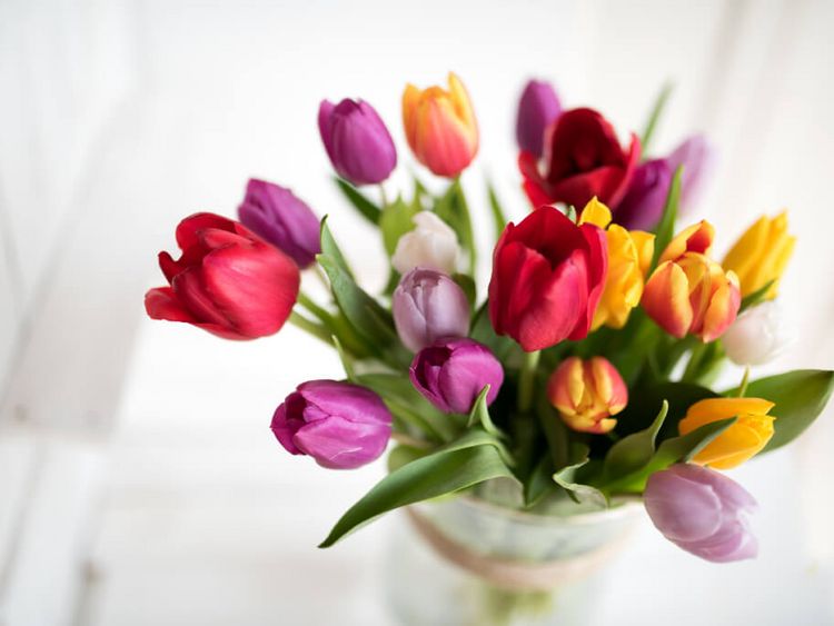 Tulpenstrauß aus roten und gelben Tulpen