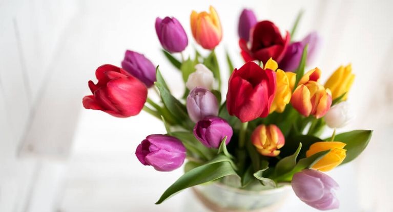 Kleine Aufmerksamkeit Tulpenstrauß aus roten und gelben Tulpen